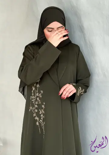 ايلي