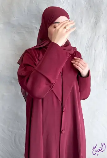ايناس